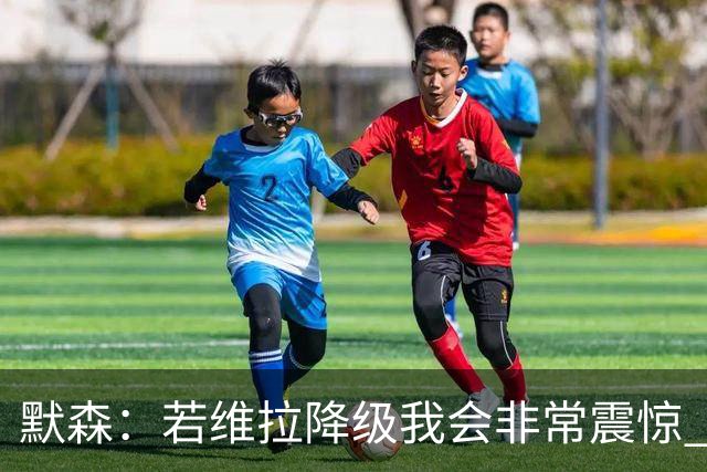 默森：若维拉降级我会非常震惊 阿森纳将以两位数积分优势夺冠